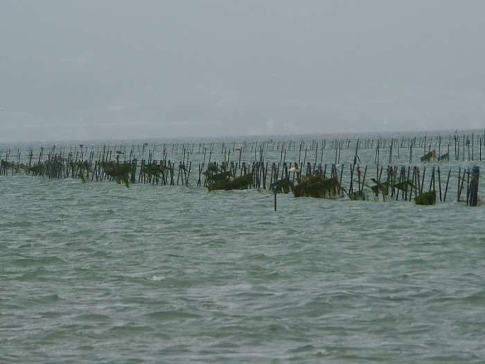 truth  ブログ写真 2017/08/08