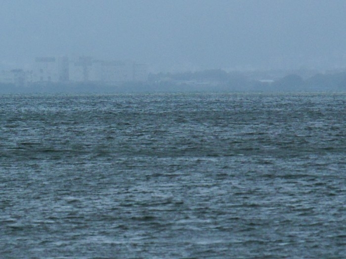 truth  ブログ写真 2017/08/08