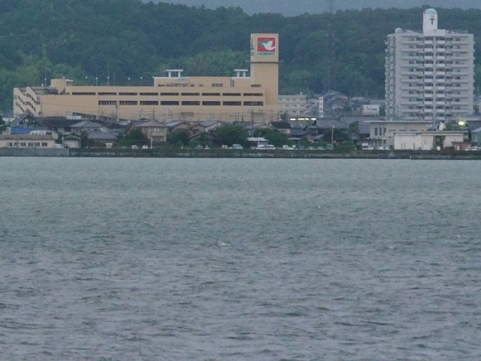 truth  ブログ写真 2017/08/08