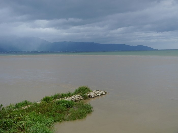 truth  ブログ写真 2017/08/08