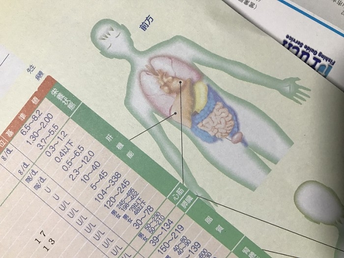 truth  ブログ写真 2017/10/04