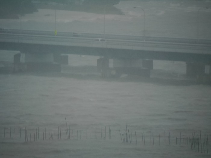 truth  ブログ写真 2017/10/22