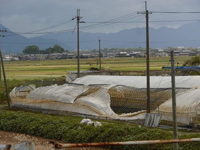 truth  ブログ写真 2017/10/23