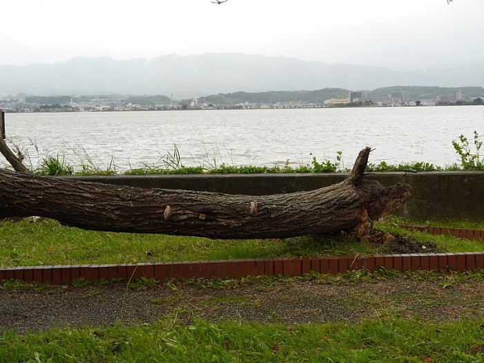 truth  ブログ写真 2017/10/23