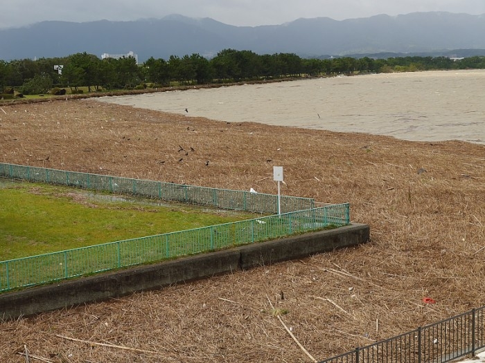 truth  ブログ写真 2017/10/23