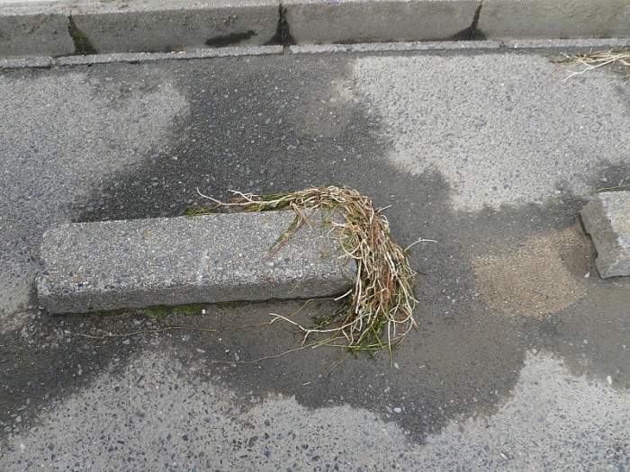 truth  ブログ写真 2017/10/23