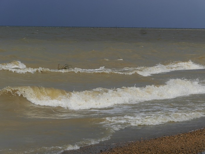 truth  ブログ写真 2017/10/23