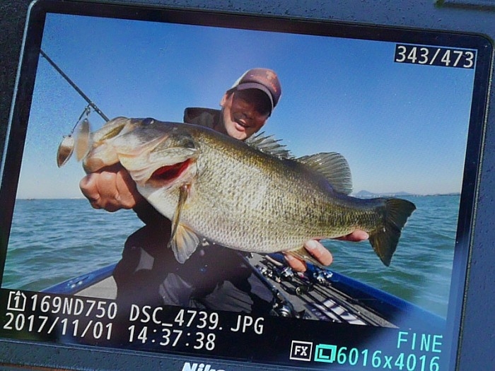 truth  ブログ写真 2017/11/01