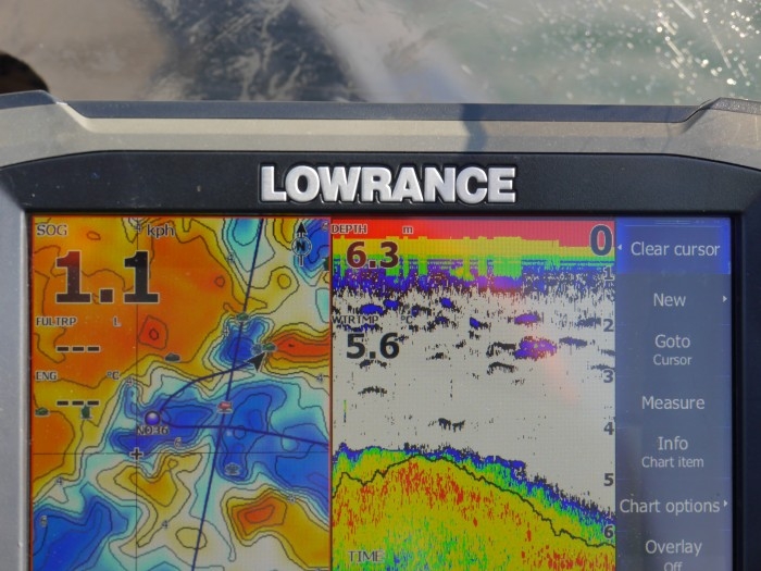 truth  ブログ写真 2017/12/03