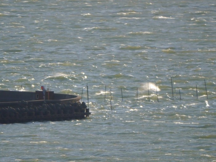 truth  ブログ写真 2017/12/11