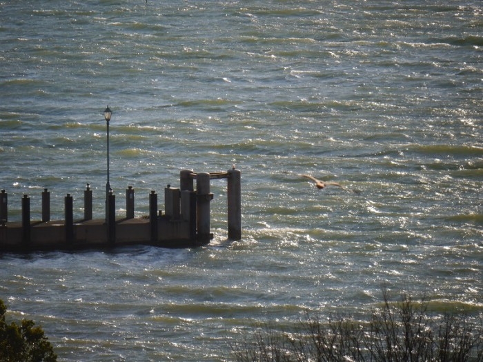 truth  ブログ写真 2017/12/11