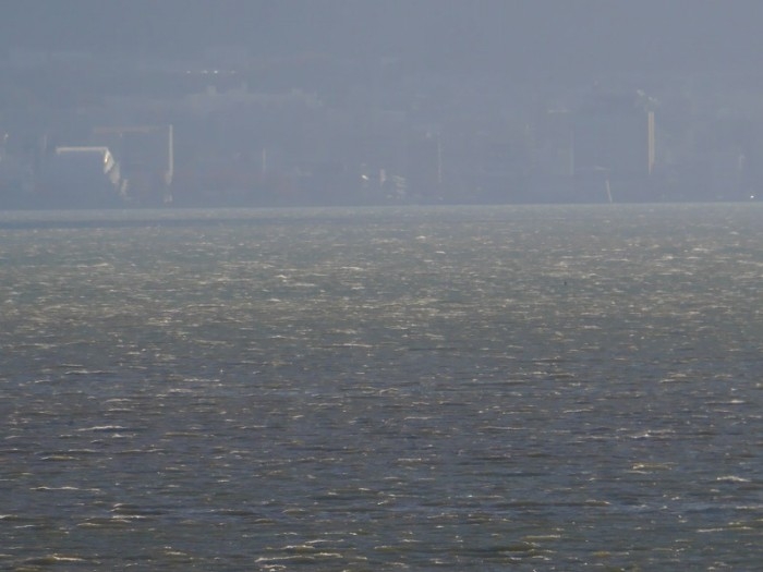 truth  ブログ写真 2017/12/11