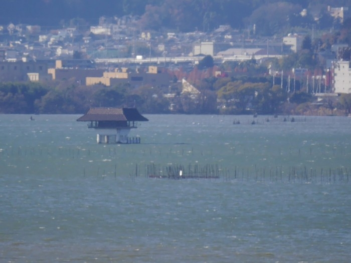 truth ブログ写真 2017/12/12