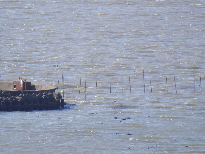 truth ブログ写真 2017/12/12