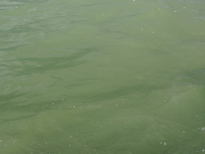 truth  ブログ写真 2017/12/13