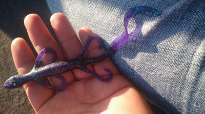 truth smiley_fishing_report ブログ写真 2015/04/08