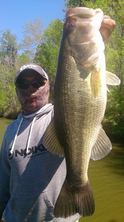 truth smiley_fishing_report ブログ写真 2015/04/08