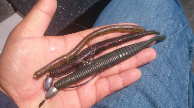 truth smiley_fishing_report ブログ写真 2015/04/26