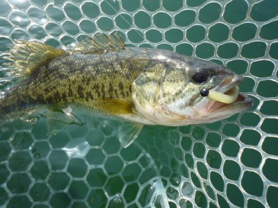 truth smiley_fishing_report ブログ写真 2015/05/01