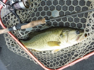 truth smiley_fishing_report ブログ写真 2015/05/18