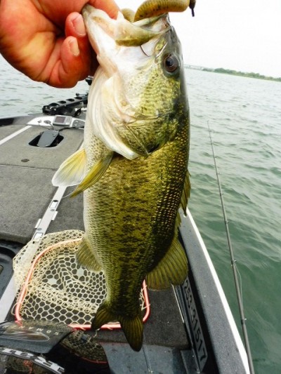 truth smiley_fishing_report ブログ写真 2015/05/18