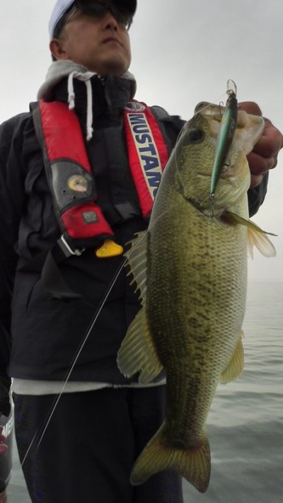 truth smiley_fishing_report ブログ写真 2015/05/19