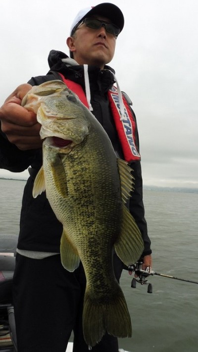 truth smiley_fishing_report ブログ写真 2015/05/19