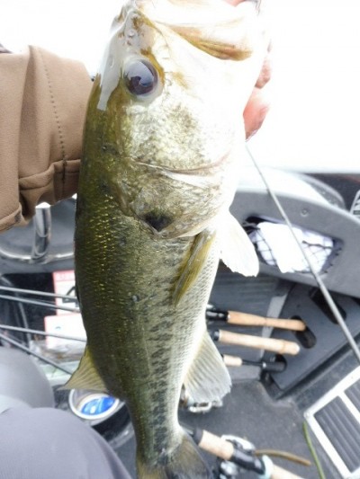 truth smiley_fishing_report ブログ写真 2015/05/19