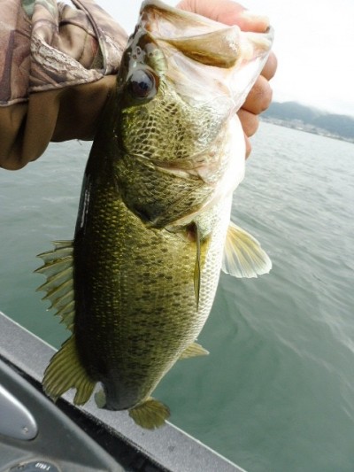 truth smiley_fishing_report ブログ写真 2015/05/19