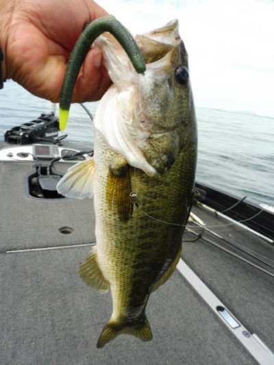 truth smiley_fishing_report ブログ写真 2015/05/25