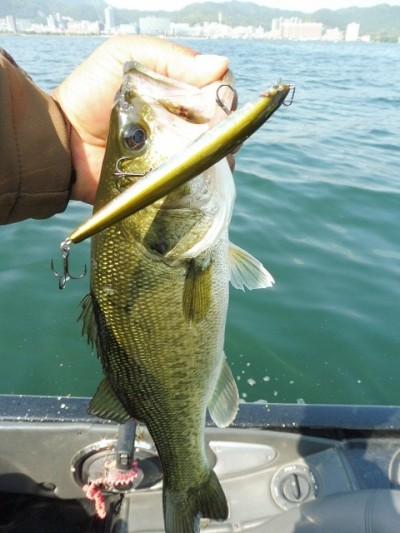 truth smiley_fishing_report ブログ写真 2015/06/01