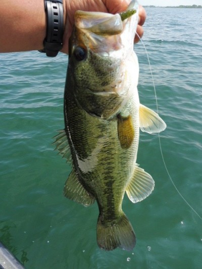 truth smiley_fishing_report ブログ写真 2015/06/01