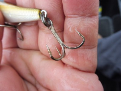 truth smiley_fishing_report ブログ写真 2015/06/09