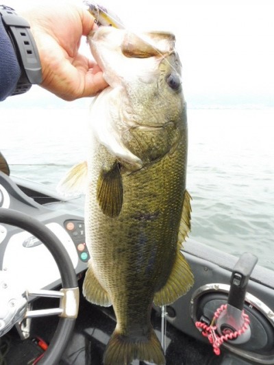 truth smiley_fishing_report ブログ写真 2015/06/11