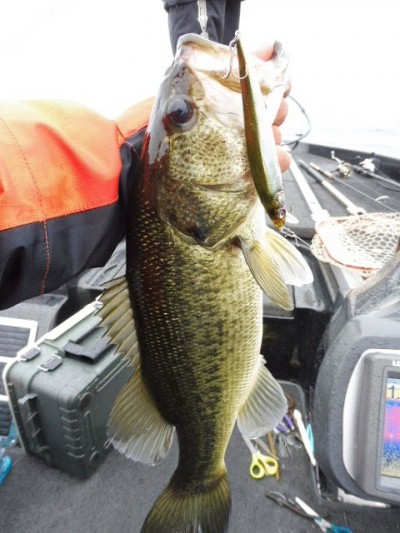 truth smiley_fishing_report ブログ写真 2015/06/11