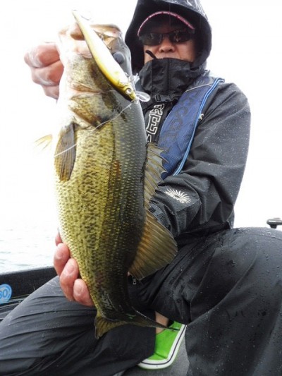 truth smiley_fishing_report ブログ写真 2015/06/11