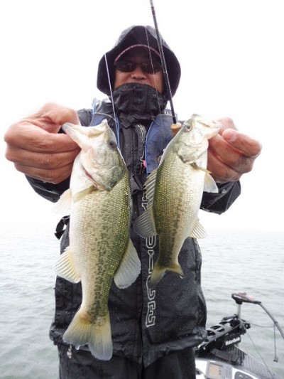 truth smiley_fishing_report ブログ写真 2015/06/11