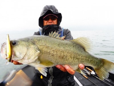 truth smiley_fishing_report ブログ写真 2015/06/11