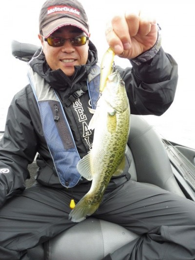 truth smiley_fishing_report ブログ写真 2015/06/11