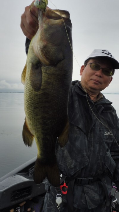 truth smiley_fishing_report ブログ写真 2015/06/12