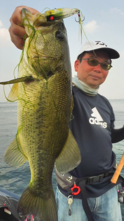 truth smiley_fishing_report ブログ写真 2015/06/12