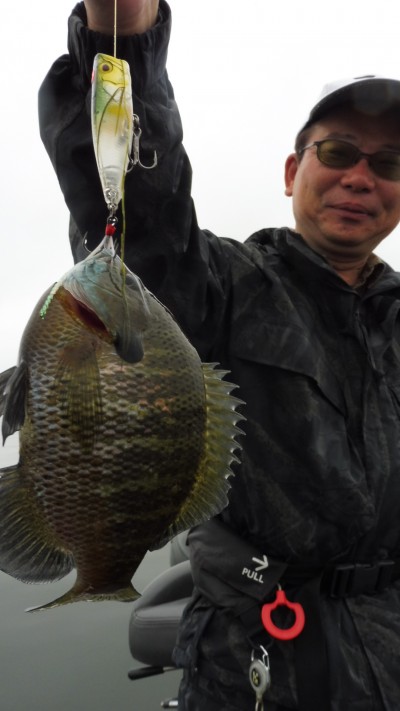 truth smiley_fishing_report ブログ写真 2015/06/12