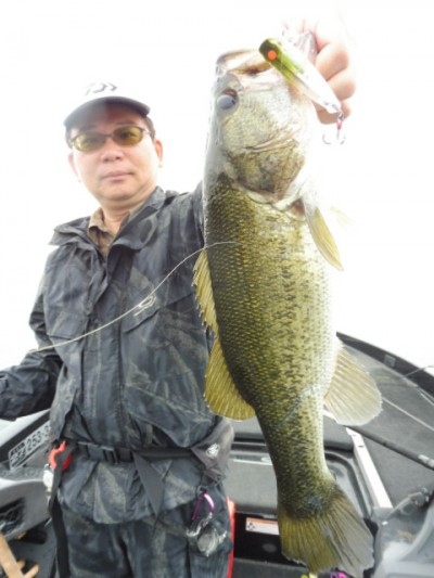 truth smiley_fishing_report ブログ写真 2015/06/12