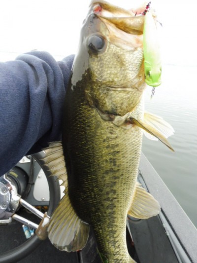 truth smiley_fishing_report ブログ写真 2015/06/12