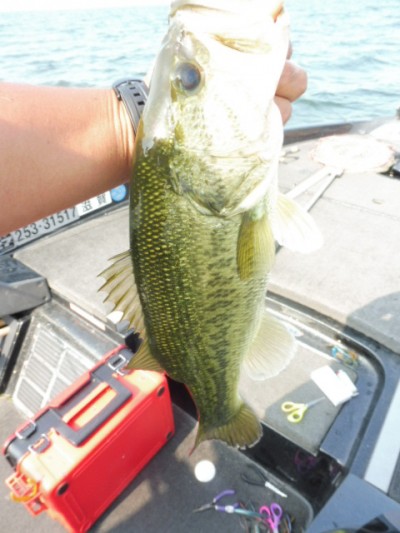 truth smiley_fishing_report ブログ写真 2015/06/12