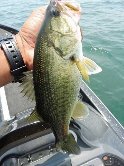 truth smiley_fishing_report ブログ写真 2015/06/13