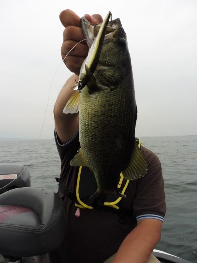 truth smiley_fishing_report ブログ写真 2015/06/13