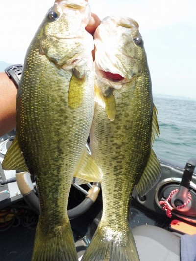 truth smiley_fishing_report ブログ写真 2015/06/13