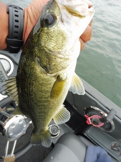 truth smiley_fishing_report ブログ写真 2015/06/13