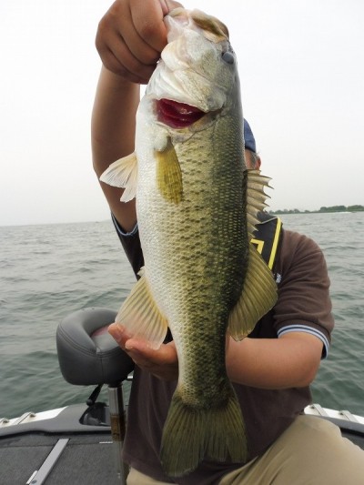 truth smiley_fishing_report ブログ写真 2015/06/13